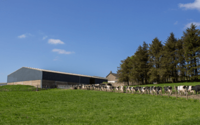 Spring Budget 2024 – Impact on the Agricultural Sector